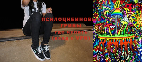 2c-b Пестово