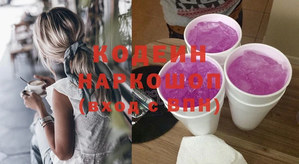 2c-b Пестово