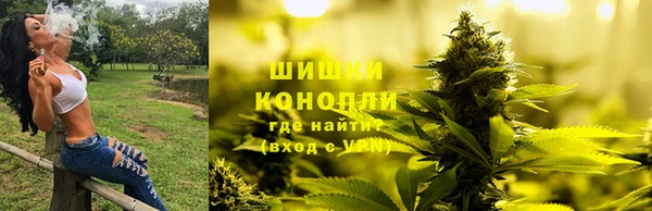 2c-b Пересвет