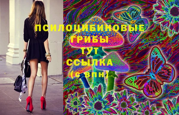 2c-b Пестово