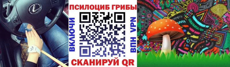 Галлюциногенные грибы GOLDEN TEACHER цена наркотик площадка какой сайт Калач ОМГ ОМГ маркетплейс
